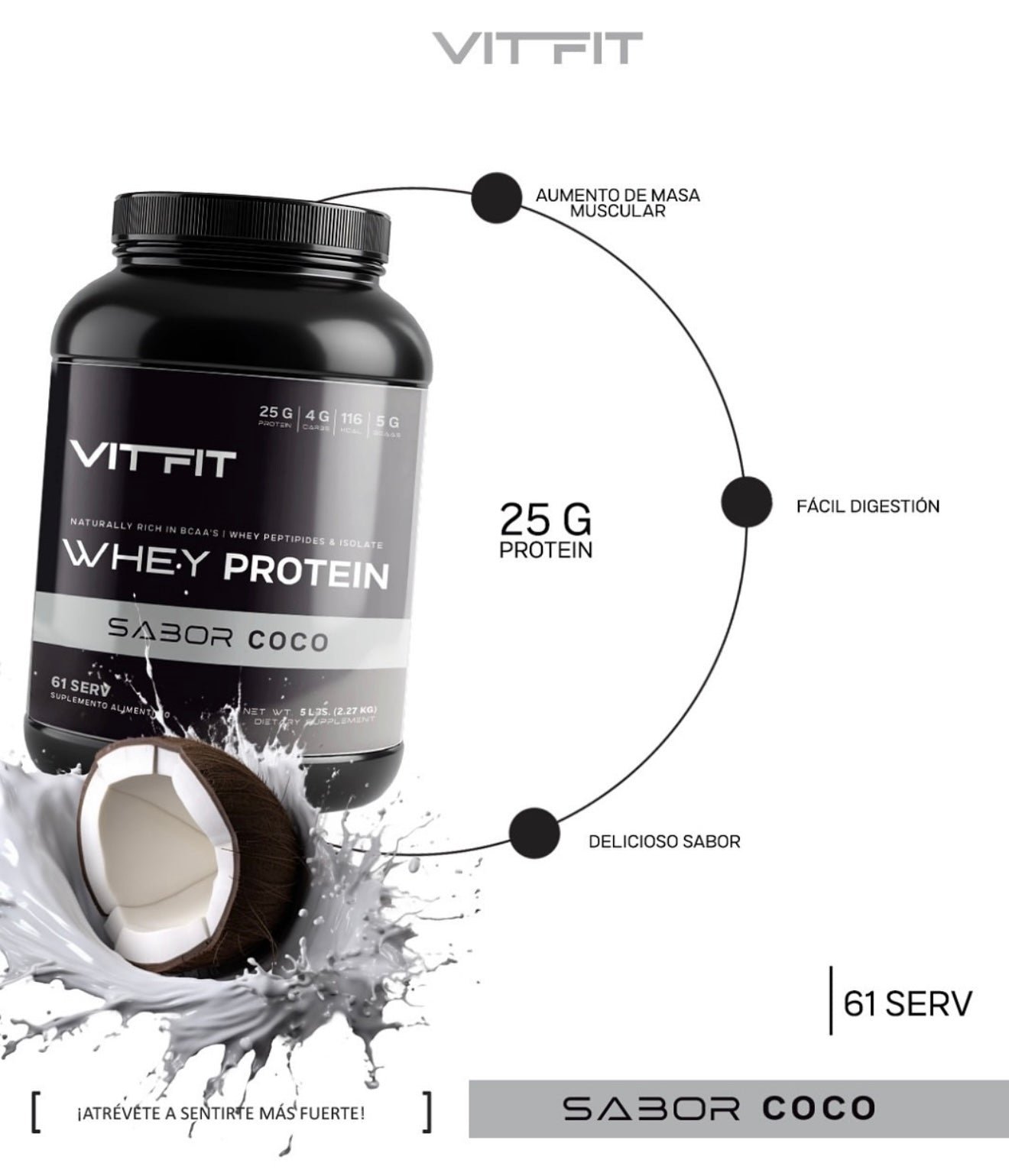 Vit Fit Whey Protein