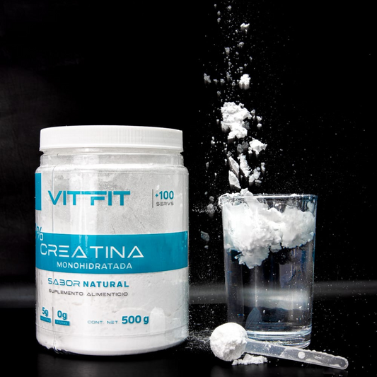 Vit Fit Creatina Monohidratada