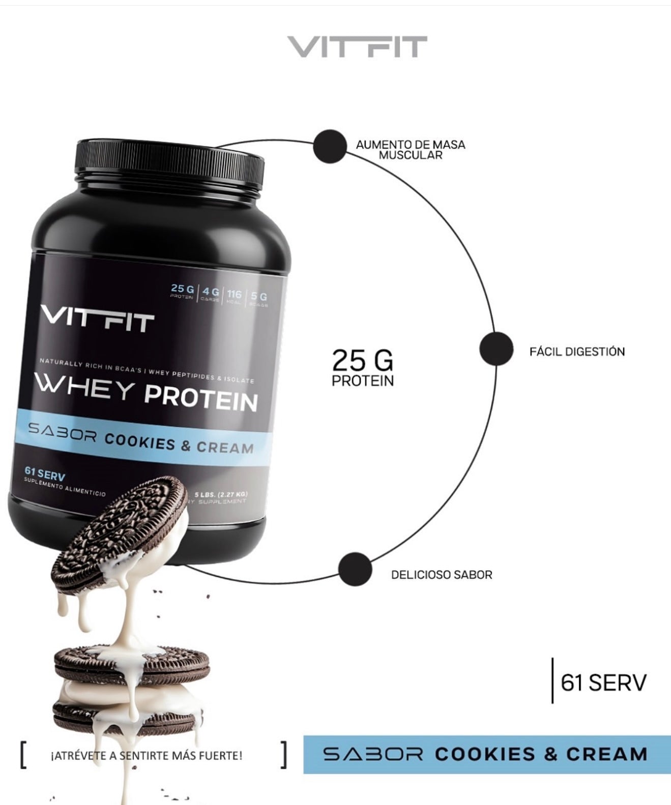 Vit Fit Whey Protein
