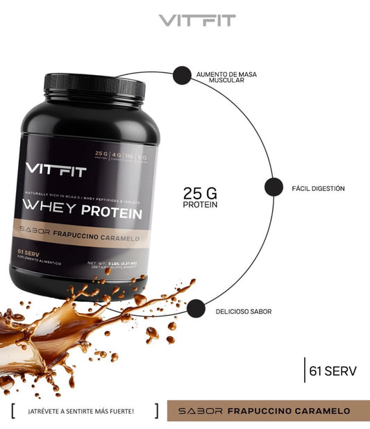 Vit Fit Whey Protein