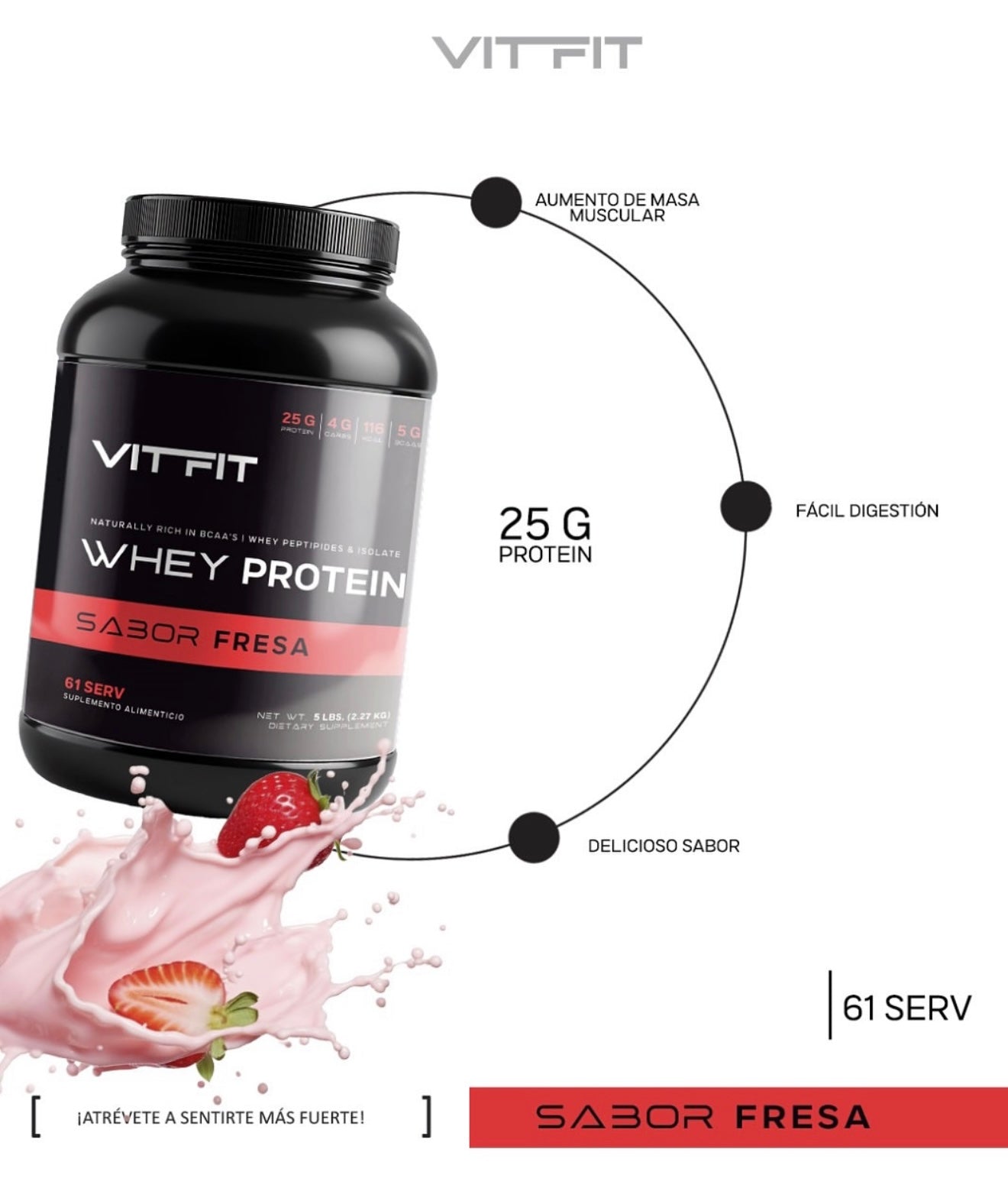 Vit Fit Whey Protein