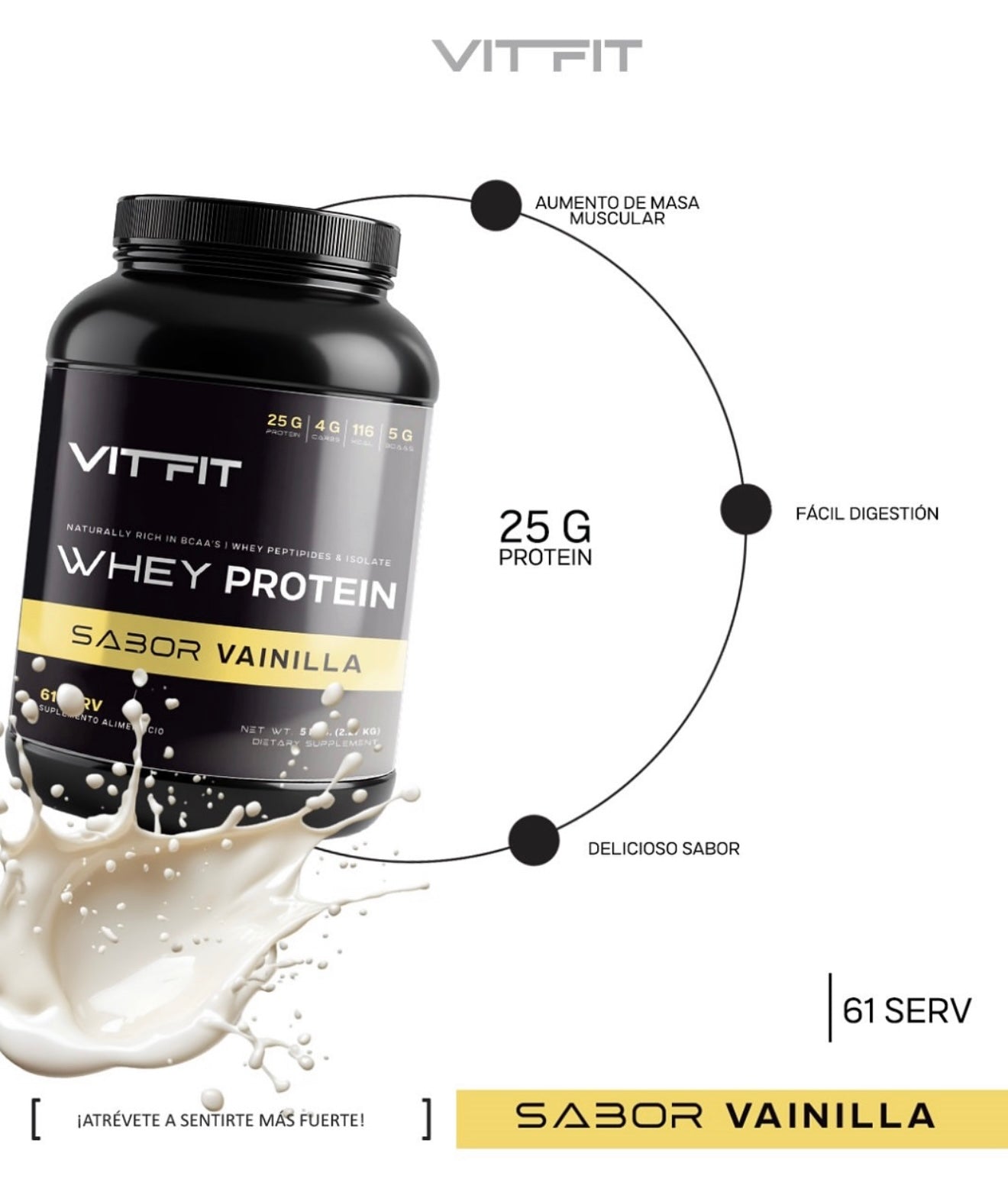Vit Fit Whey Protein